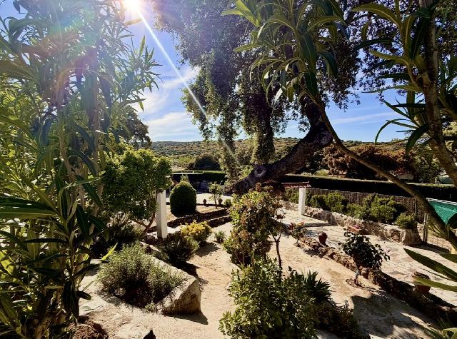 Imagen 13 Inmueble 302346 - Casa Rústica en venta en Plasencia / En la Carretera N630