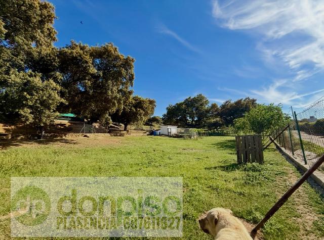 Imagen 17 Inmueble 302346 - Casa Rústica en venta en Plasencia / En la Carretera N630