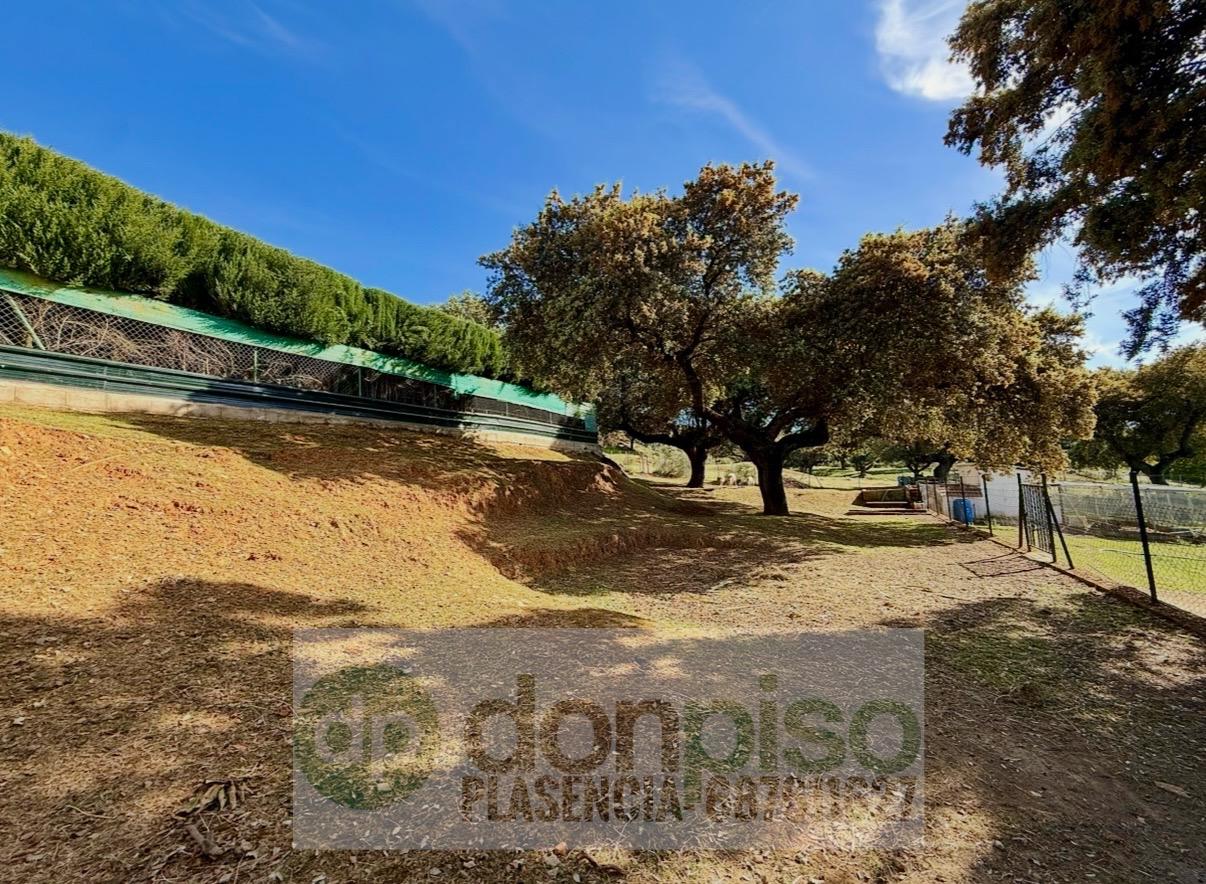 Imagen 21 Casa Rústica en venta en Plasencia / En la Carretera N630