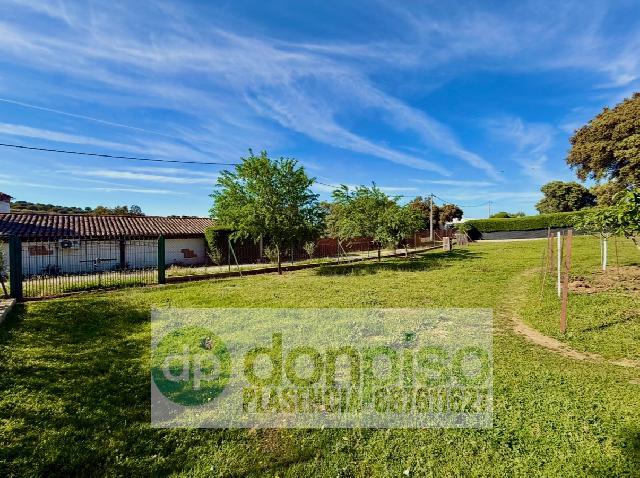 Imagen 18 Inmueble 302346 - Casa Rústica en venta en Malpartida De Plasencia / En la Carretera N630