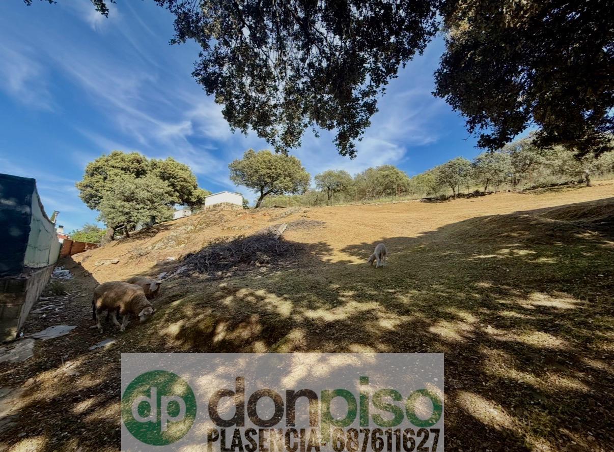 Imagen 22 Casa Rústica en venta en Plasencia / En la Carretera N630