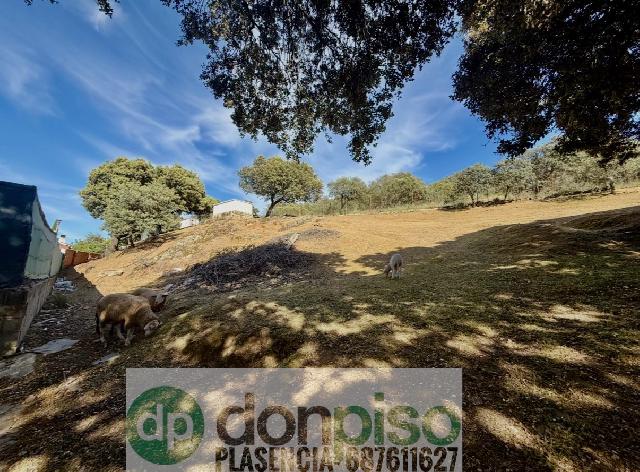 Imagen 22 Inmueble 302346 - Casa Rústica en venta en Plasencia / En la Carretera N630