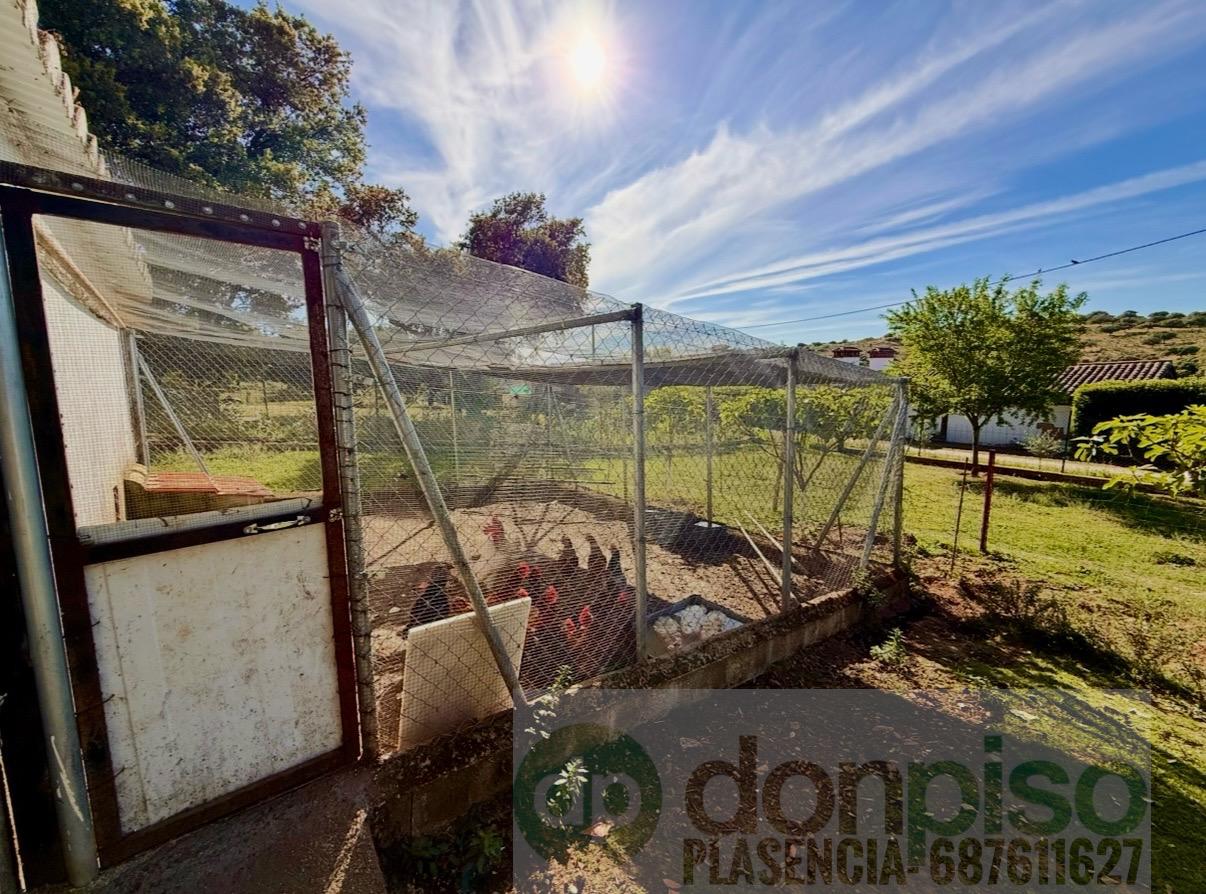 Imagen 19 Casa Rústica en venta en Plasencia / En la Carretera N630