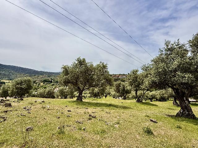 Imagen 23 Inmueble 302441 - Casa Rústica en venta en Plasencia / Al lado de la Ex 304, circunvalación Sur de Plasencia