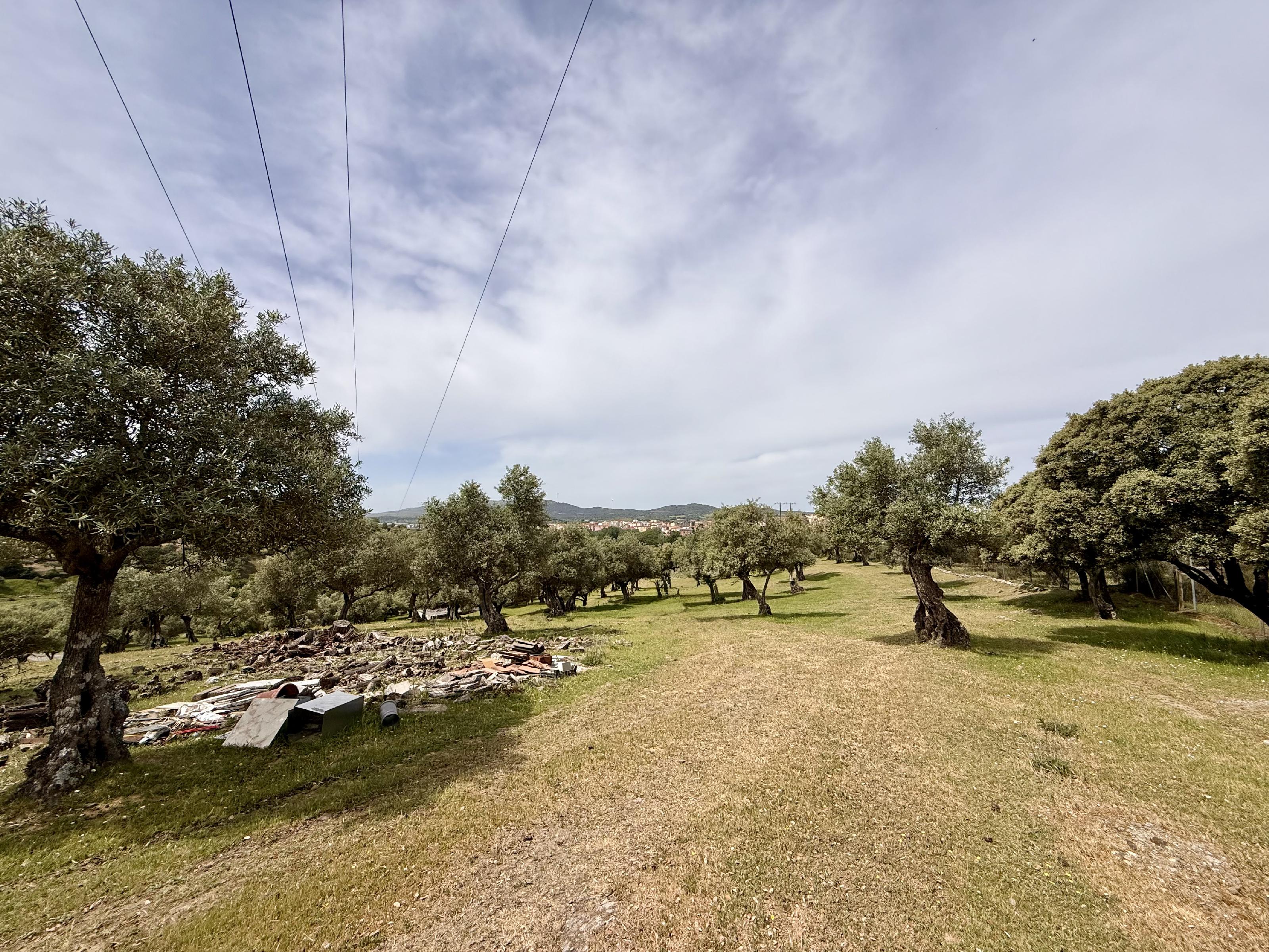 Imagen 25 Casa Rústica en venta en Plasencia / Al lado de la Ex 304, circunvalación Sur de Plasencia