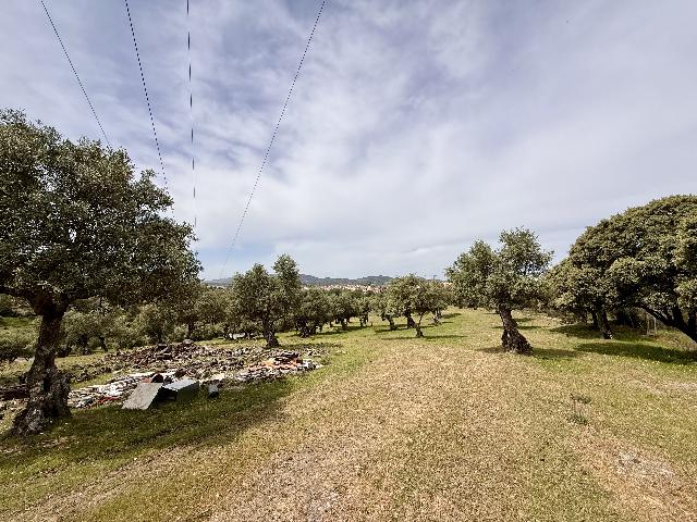 Imagen 25 Inmueble 302441 - Casa Rústica en venta en Plasencia / Al lado de la Ex 304, circunvalación Sur de Plasencia