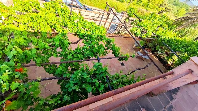 Imagen 23 Inmueble 302581 - Casa Rústica en venta en Carcaboso / Paraje Baldeios. Carcaboso. Cáceres.