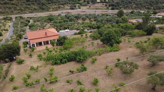 Imagen 25 Inmueble 304172 - Casa Rústica en venta en Plasencia / En la Carretera de Jaraíz