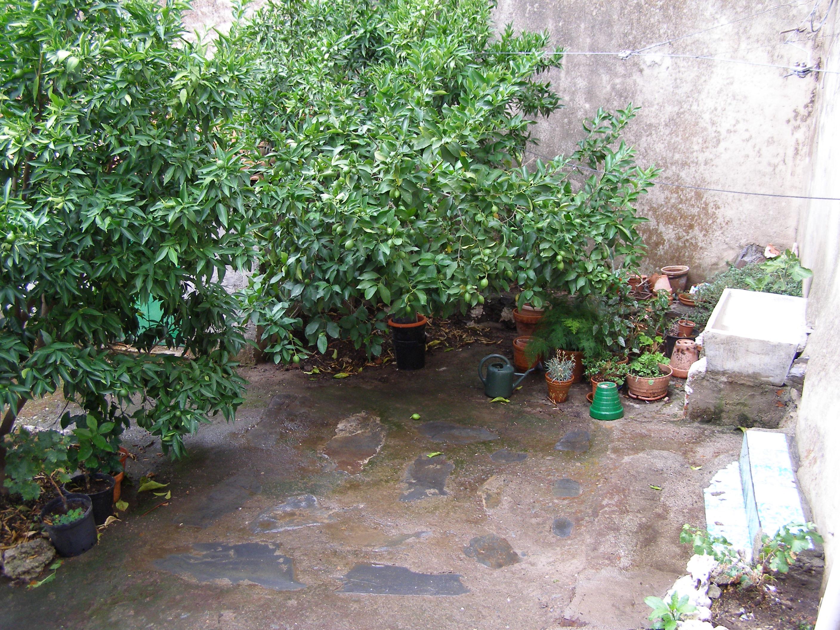 Imagen 12 Casa en venta en Casar De Palomero / En Casar de Palomero