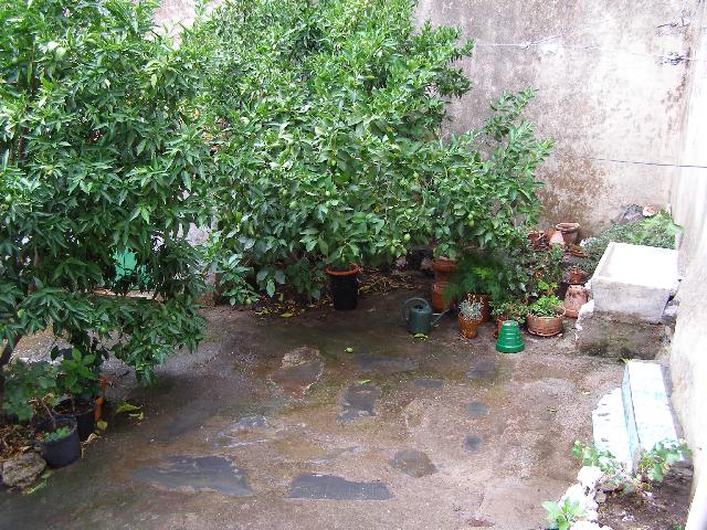 Imagen 12 Inmueble 304692 - Casa en venta en Casar De Palomero / En Casar de Palomero