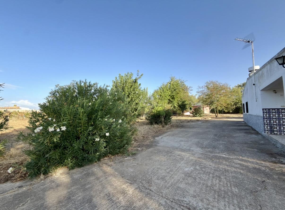 Imagen 2 Casa Rústica en venta en Mérida / En el Prado, Mérida