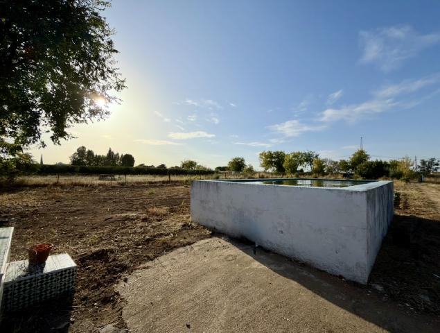 Imagen 3 Inmueble 306298 - Casa Rústica en venta en Mérida / En el Prado, Mérida