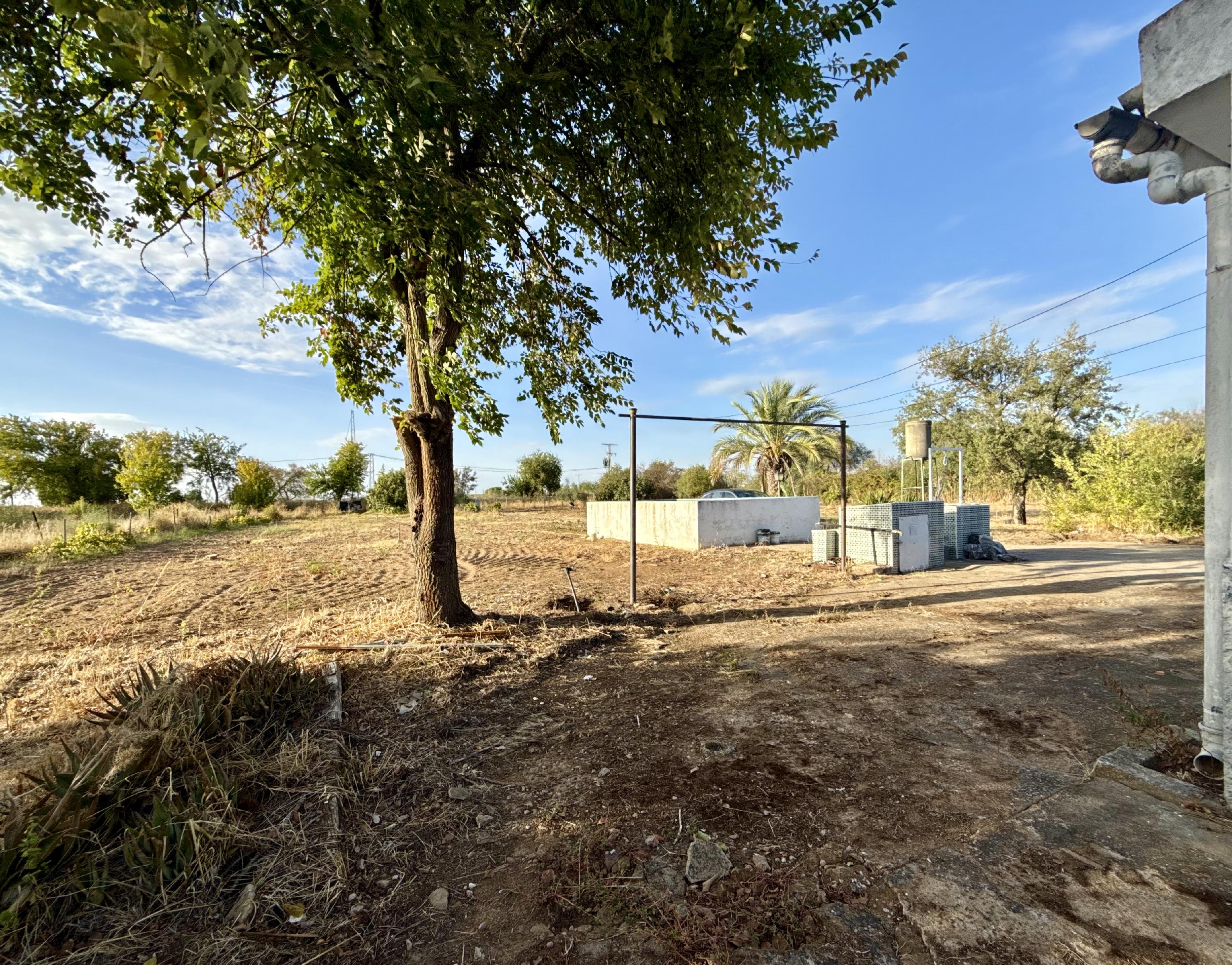 Imagen 5 Casa Rústica en venta en Mérida / En el Prado, Mérida