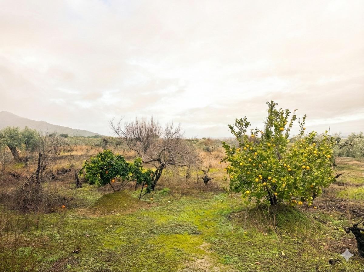 Imagen 18 Casa Rústica en venta en Montánchez / Zona de Robledo, Montánchez