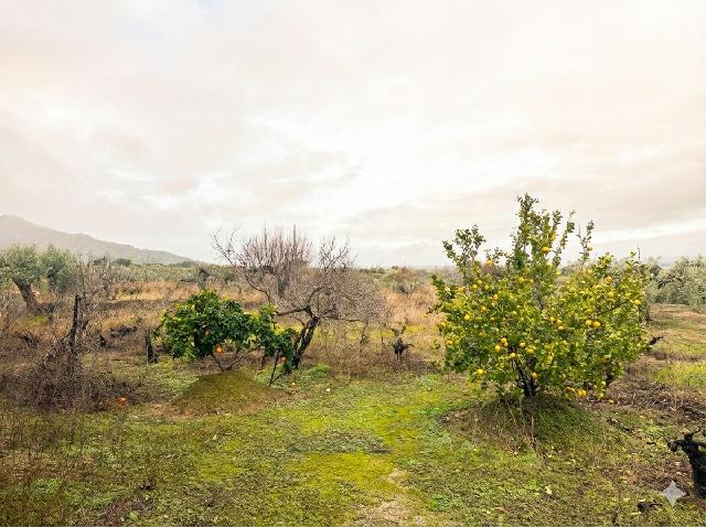 Imagen 18 Inmueble 300524 - Casa Rústica en venta en Montánchez / Zona de Robledo, Montánchez