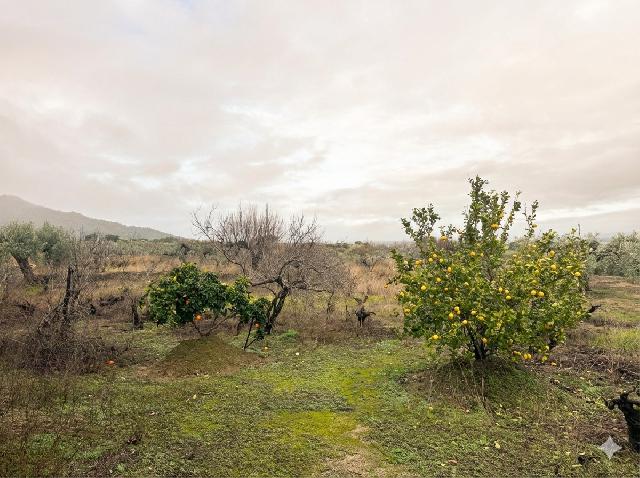 Imagen 20 Inmueble 300524 - Casa Rústica en venta en Montánchez / Zona de Robledo, Montánchez