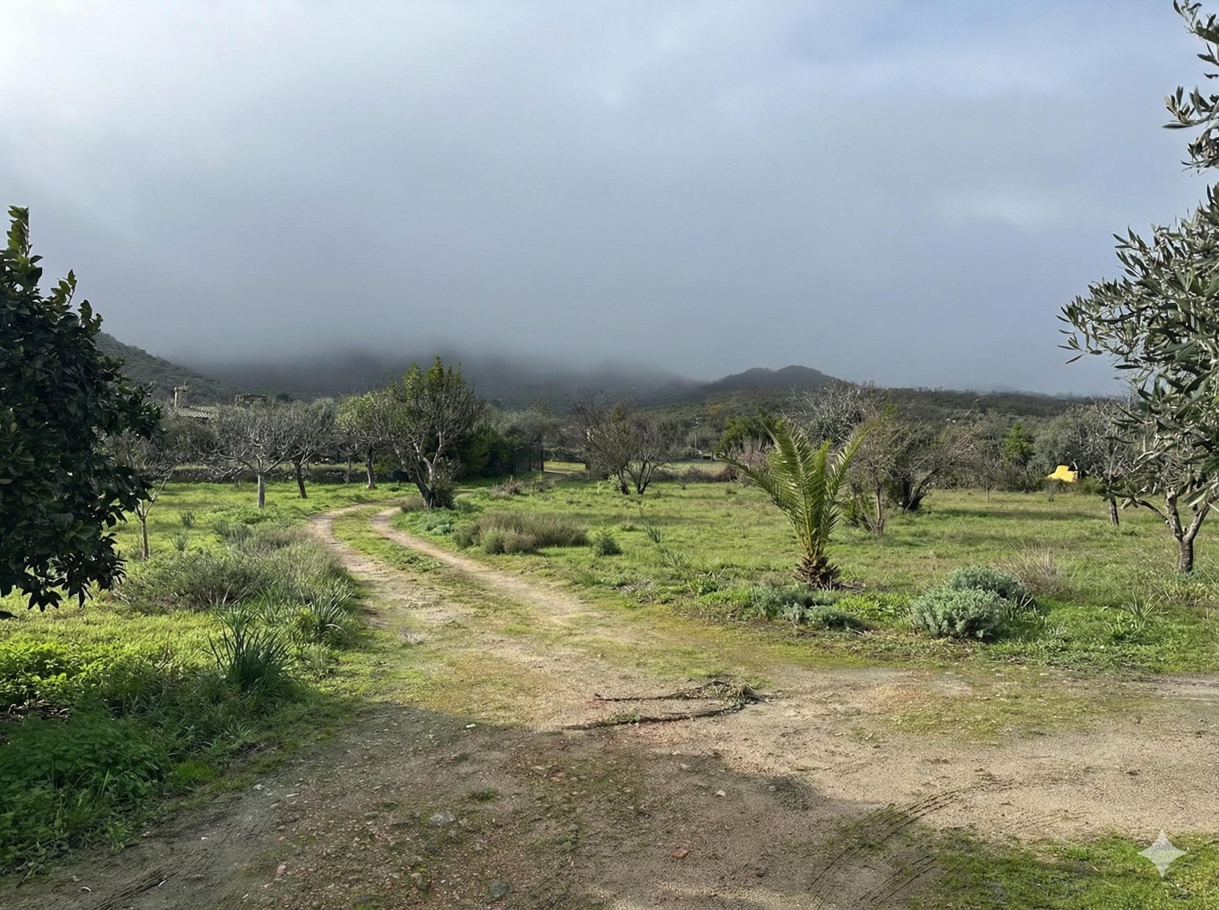 Imagen 21 Casa Rústica en venta en Montánchez / Zona de Robledo, Montánchez