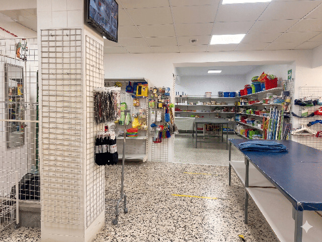 Imagen 4 Inmueble 302491 - Local Comercial en alquiler en Cáceres / Zona de Llopis.