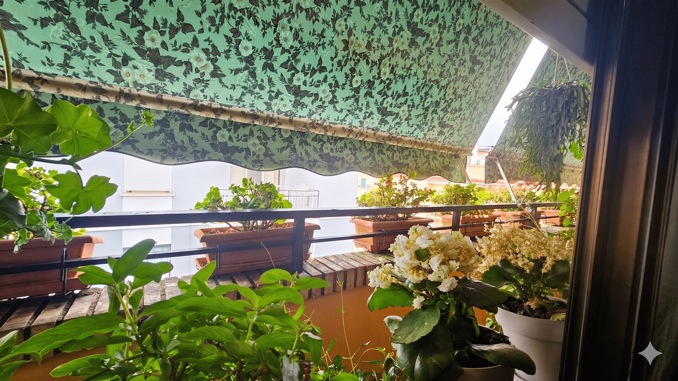 Imagen 12 Piso en venta en Cáceres / Centro. Zona de la Cruz