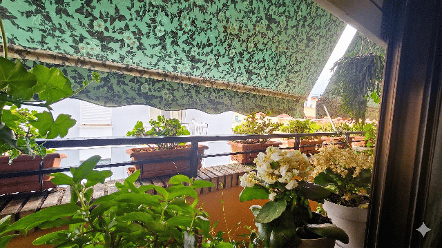 Imagen 12 Inmueble 302511 - Piso en venta en Cáceres / Centro. Zona de la Cruz