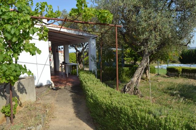 Imagen 29 Inmueble 303484 - Casa Rústica en venta en Casas De Millán / Casas de Millán