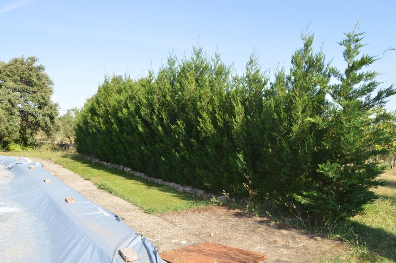 Imagen 30 Casa Rústica en venta en Casas De Millán / Casas de Millán