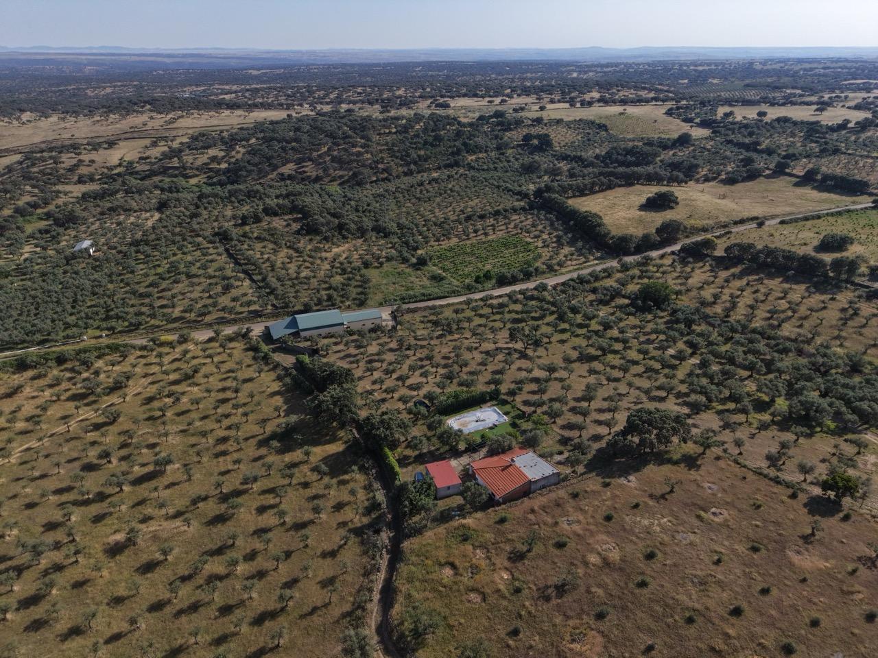 Imagen 35 Casa Rústica en venta en Casas De Millán / Casas de Millán