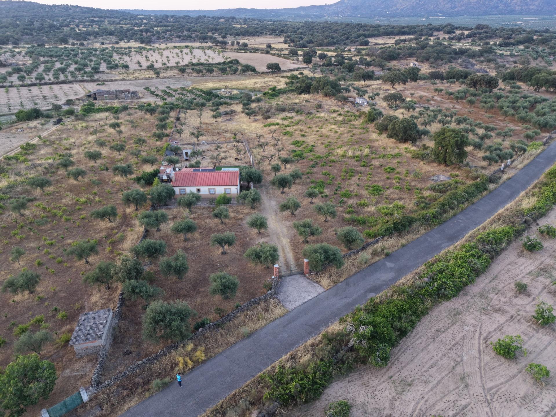 Imagen 43 Casa Rústica en venta en Alcuéscar / Piscina de Alcuescar
