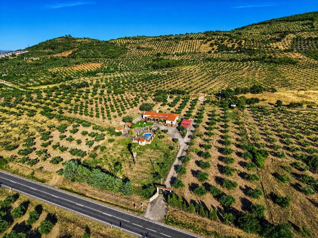 Imagen 21 Inmueble 304772 - Casa Rústica en venta en Alcuéscar / Cruce de las herrerias 