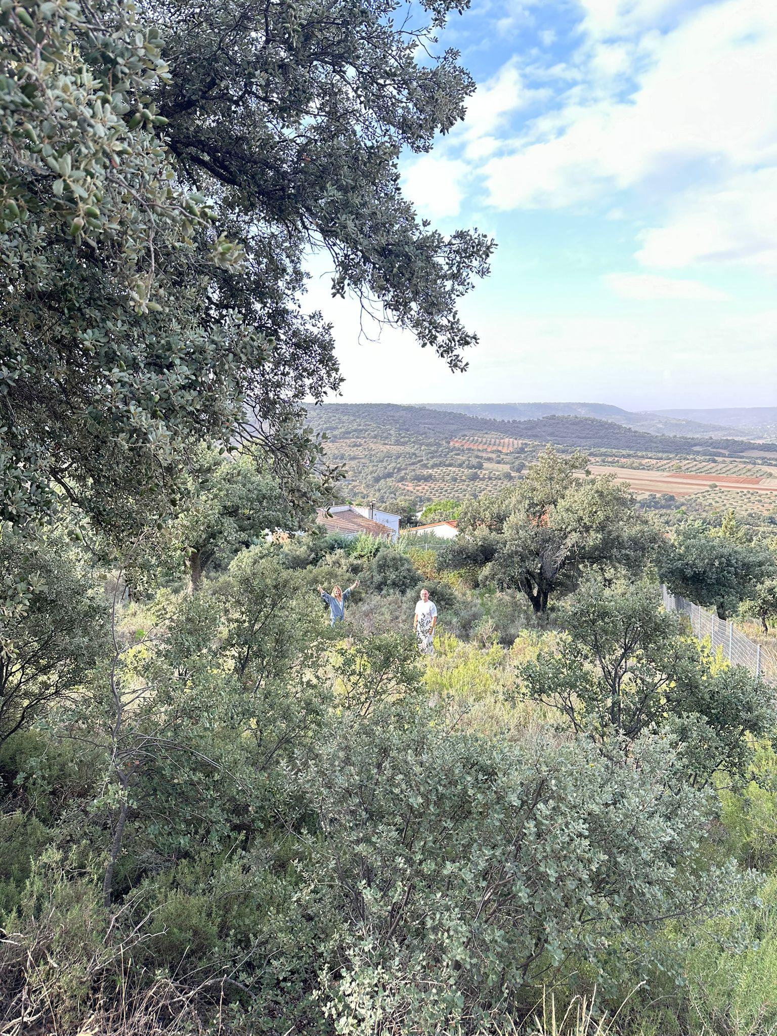 Imagen 4 Solar Urbano en venta en Fuentenovilla / En urbanizacion las fuentes