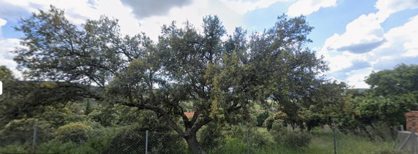 Imagen 5 Solar Urbano en venta en Fuentenovilla / En urbanizacion las fuentes