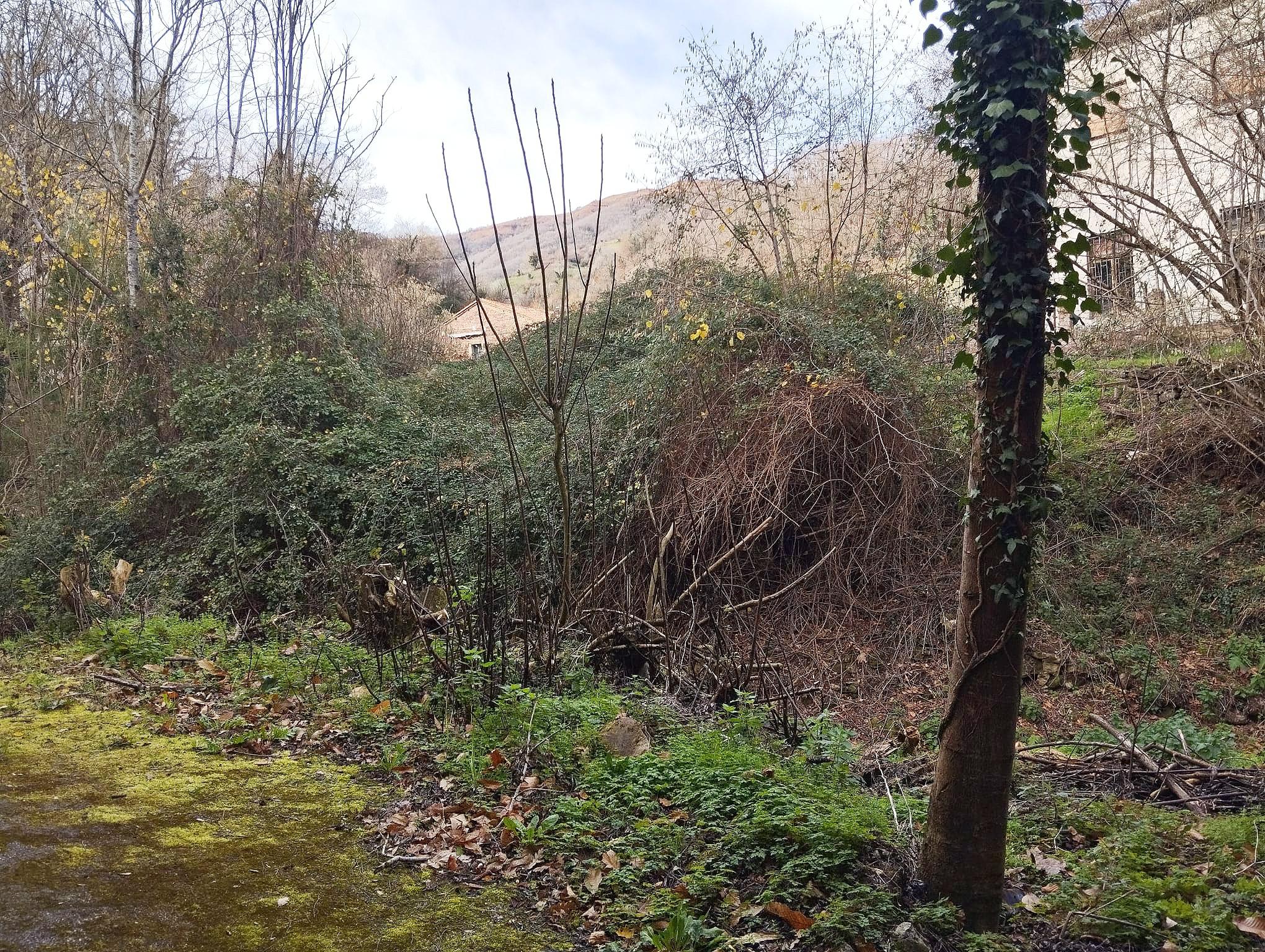 Imagen 29 Casa Adosada en venta en Mieres / En la aldea de Cenera a 6 km de Mieres