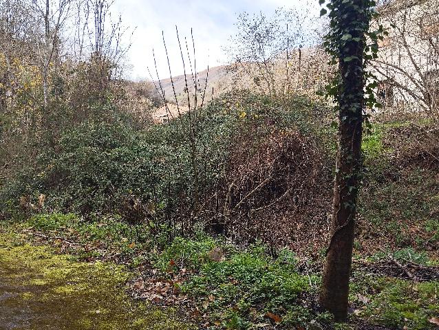 Imagen 29 Inmueble 299136 - Casa Adosada en venta en Mieres / Casa en aldea Cenera, a 6 km de Mieres pueblo