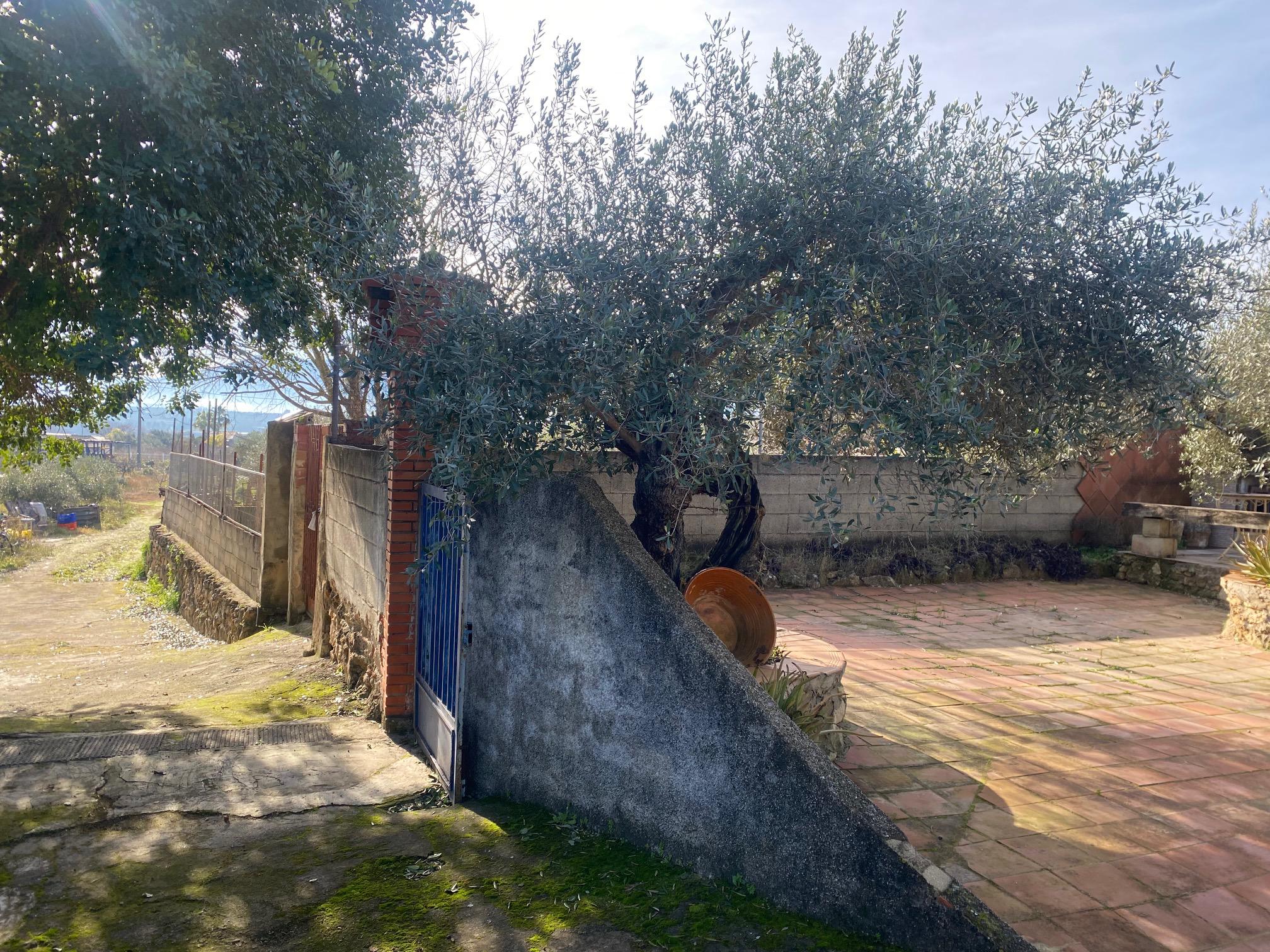 Imagen 7 Casa Rústica en venta en Benigánim / Vivienda cercana al núcleo urbano. 