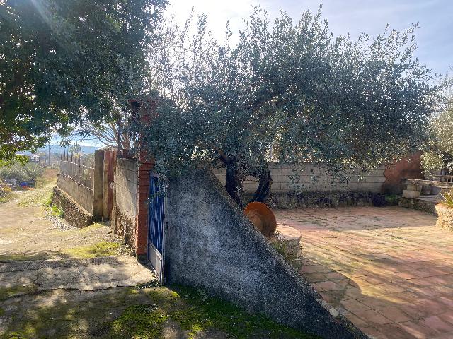 Imagen 7 Inmueble 300328 - Casa Rústica en venta en Benigánim / Vivienda cercana al núcleo urbano. 