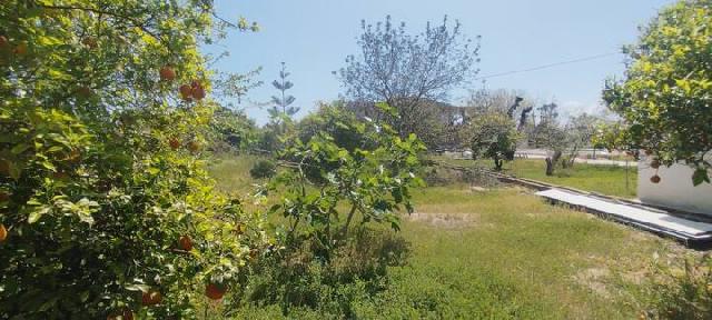 Imagen 30 Inmueble 300492 - Casa Aislada en venta en Gandia / Junto a playa de Gandia y playa d´ anahuir 