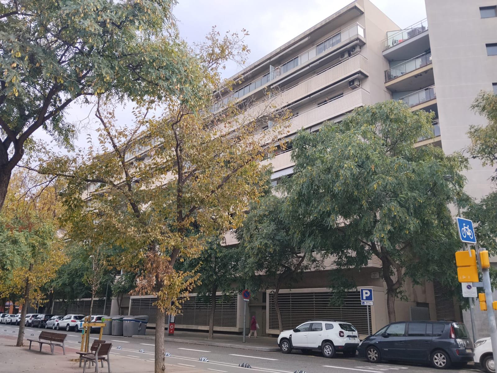 Imagen 29 Planta Baja en venta en Barcelona / Passeig Taulat -  Bac de Roda