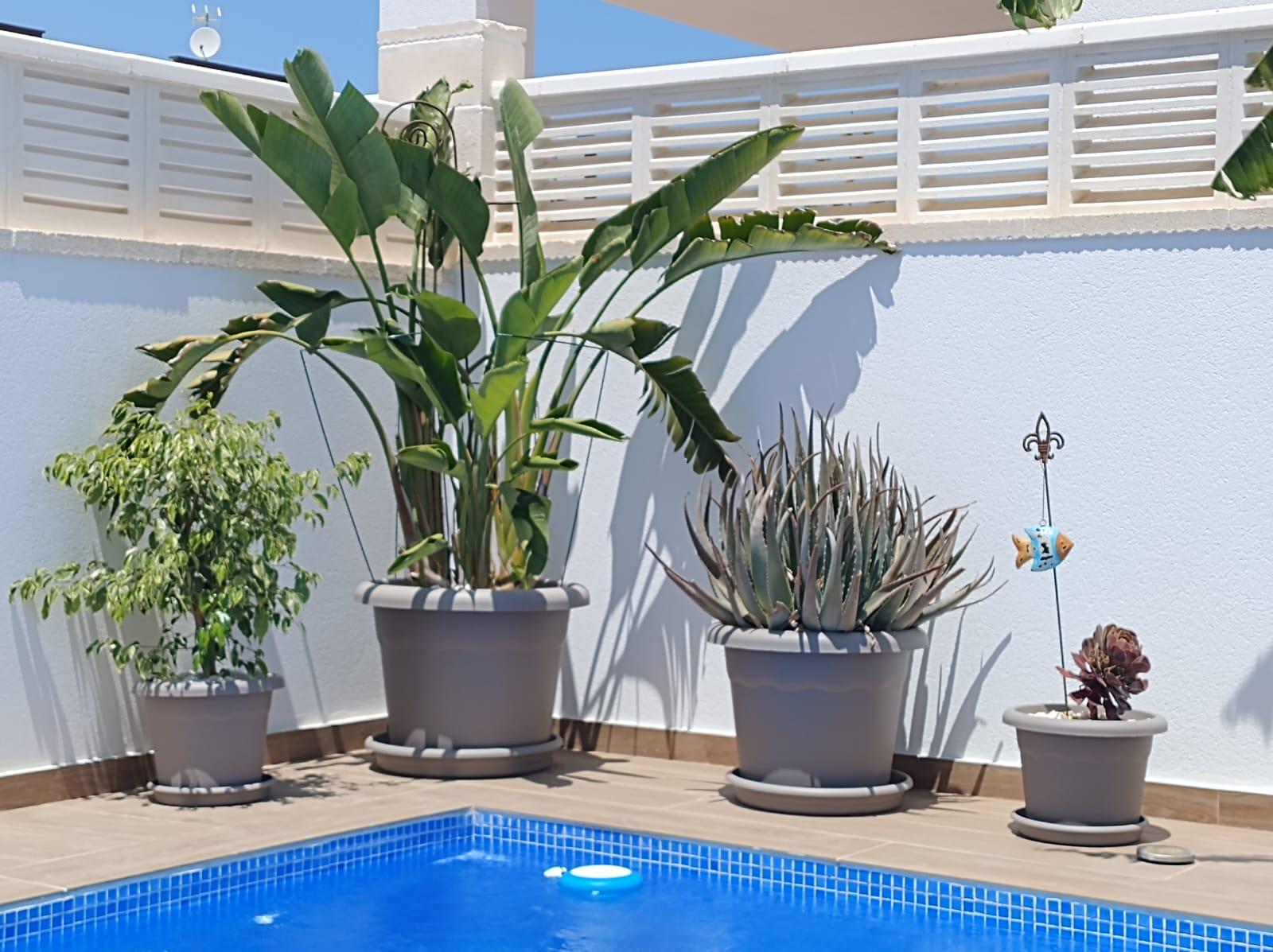 Imagen 3 Casa Adosada en venta en Dénia / Cerca del centro comercial La Segaría.