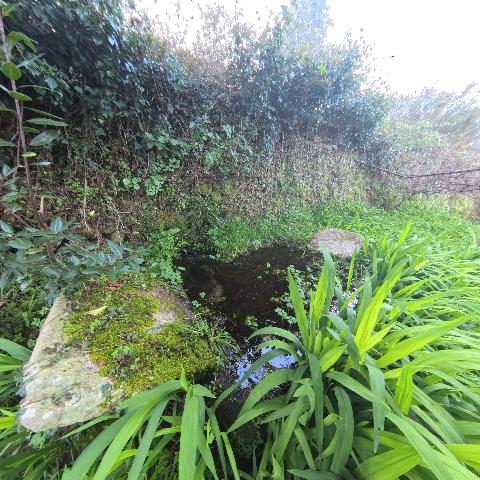 Imagen 14 Inmueble 301278 - Casa en venta en Santiago De Compostela / Cerca de la Iglesia de Calo