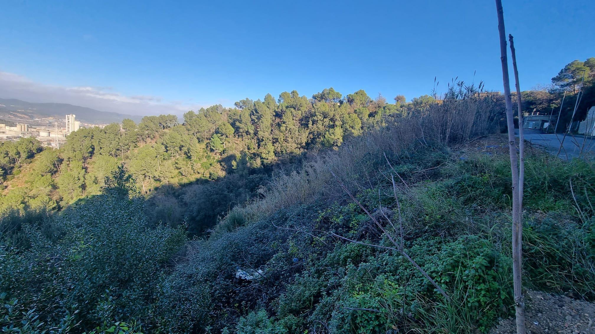 Imagen 3 Solar Urbano en venta en Cervelló / A 5 minutos de Cervelló 