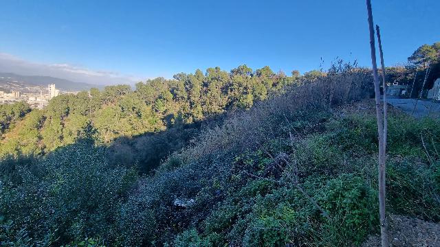 Imagen 3 Inmueble 300421 - Solar Urbano en venta en Cervelló / A 5 minutos de Cervelló 