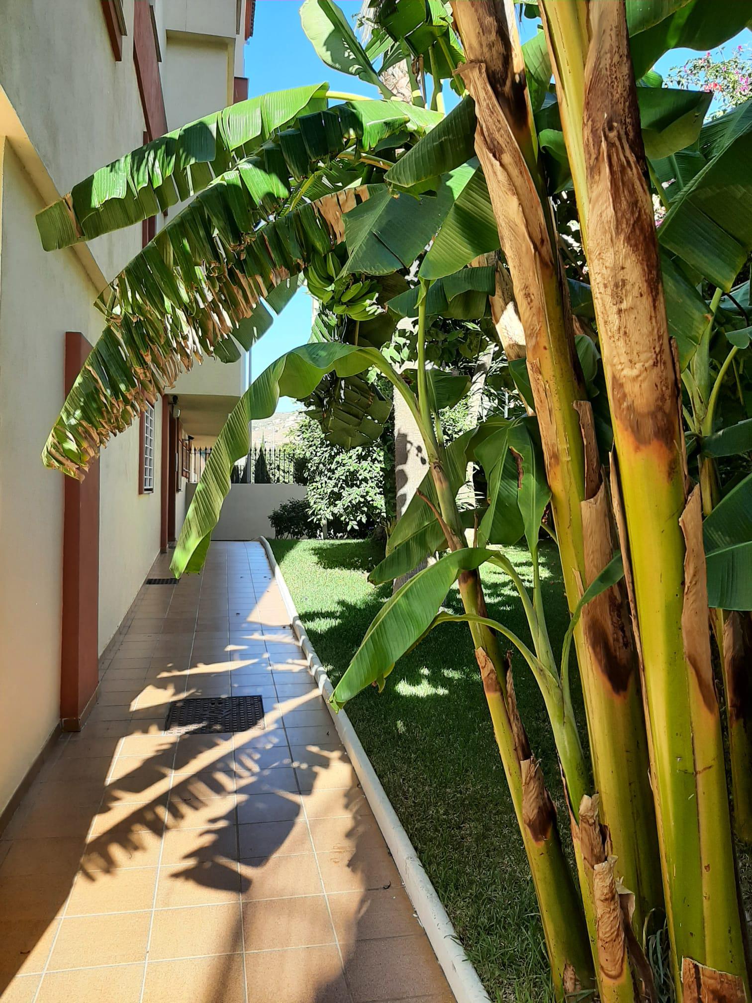 Imagen 3 Apto. Playa en venta en Almuñécar / Calle Baracoa, Edificio Miramar