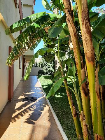 Imagen 3 Inmueble 300128 - Apto. Playa en venta en Almuñécar / Calle Baracoa, Edificio Miramar