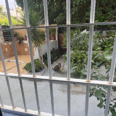 Imagen 9 Inmueble 300139 - Apto. Playa en venta en Almuñécar / Enfrente de C?Mariano