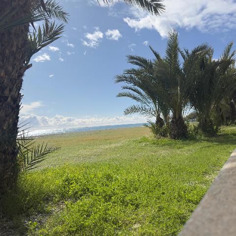 Imagen 19 Inmueble 300139 - Apto. Playa en venta en Almuñécar / Enfrente de C?Mariano