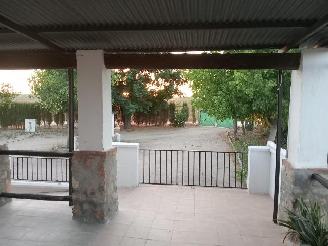 Imagen 10 Inmueble 300210 - Casa Rústica en venta en Arcos De La Frontera / Torrecillas, arcos de la frontera,8