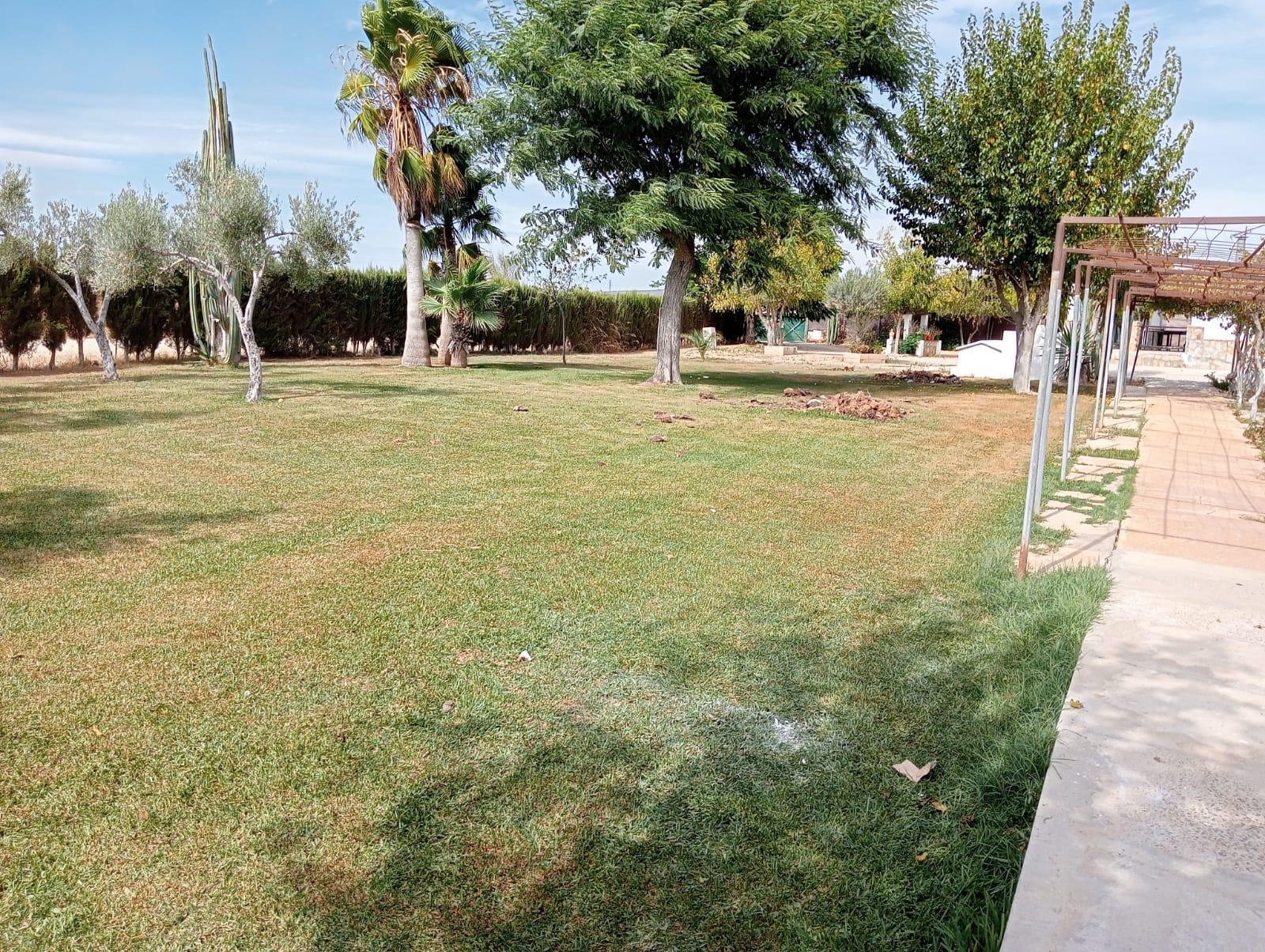 Imagen 15 Casa Rústica en venta en Arcos De La Frontera / Torrecillas, arcos de la frontera,8