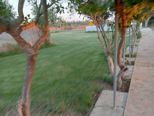 Imagen 16 Inmueble 300210 - Casa Rústica en venta en Arcos De La Frontera / Torrecillas, arcos de la frontera,8