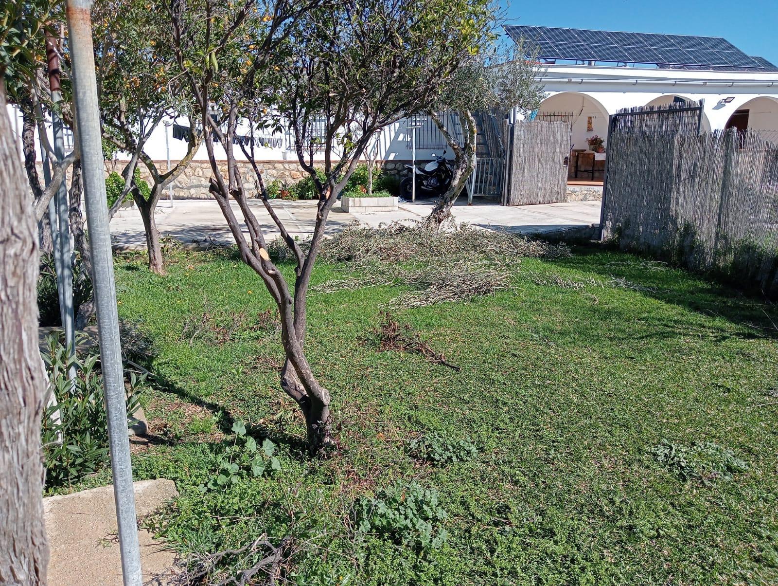 Imagen 19 Casa Rústica en venta en Arcos De La Frontera / Torrecillas, arcos de la frontera,8