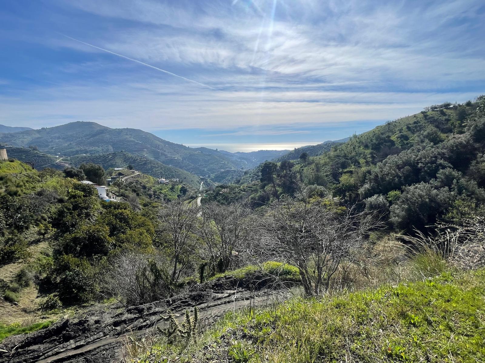 Imagen 2 Solar Rústico en venta en Almuñécar / Rio Seco Bajo, almuñecar, zona rustica bien ubicada